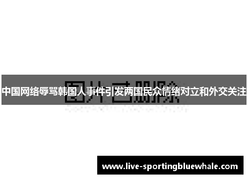 中国网络辱骂韩国人事件引发两国民众情绪对立和外交关注